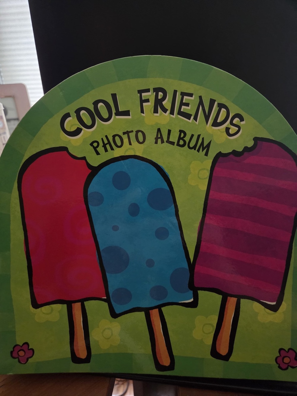 Cool Friends Photo Album - Colorful Popsicle Cover